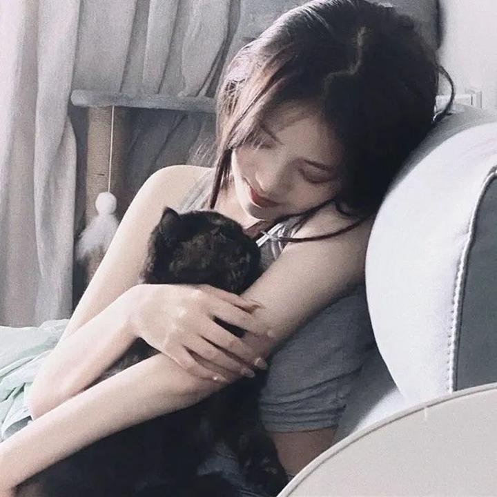 老狐狸